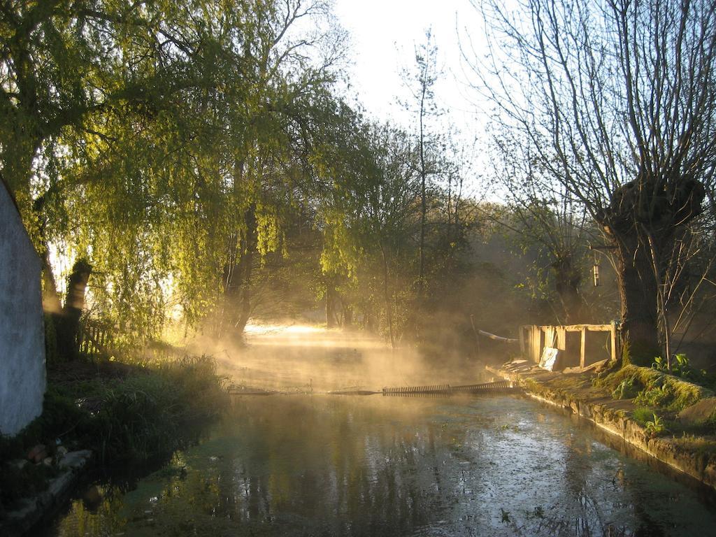 Le Moulin De Lusseau Bed & Breakfast Chef-Boutonne Eksteriør bilde