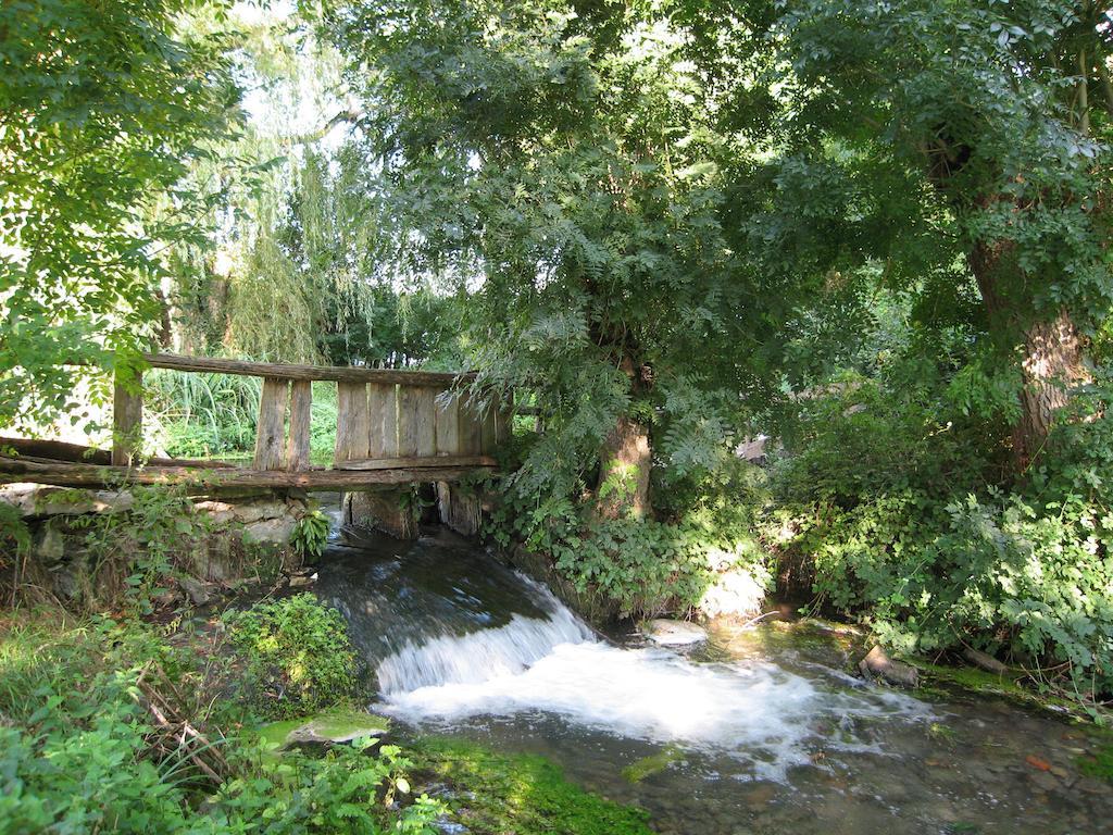 Le Moulin De Lusseau Bed & Breakfast Chef-Boutonne Eksteriør bilde